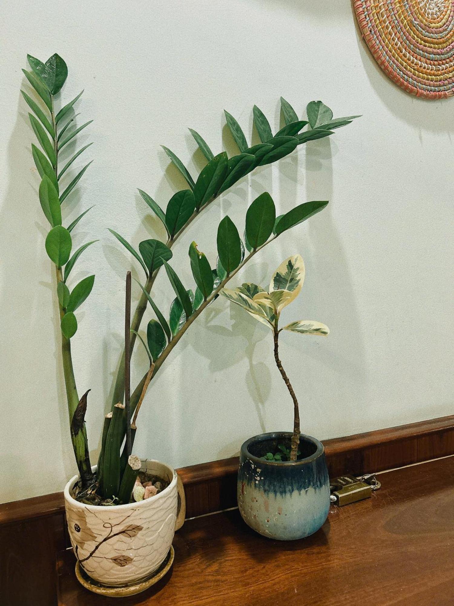 Nang Homestay Tuy Hoa Exterior foto